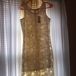 Brand New White Lace  Dress New with Tags